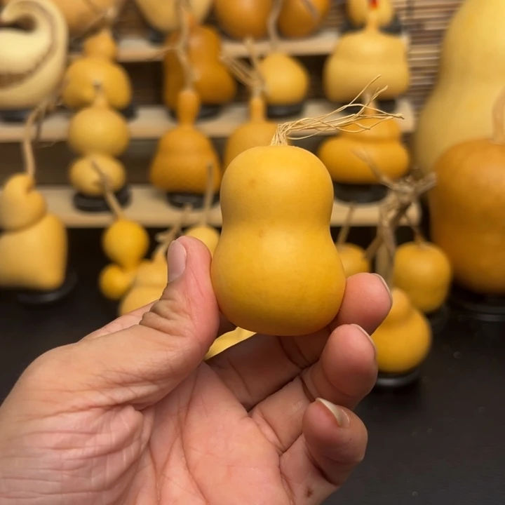 ?*?125665566855559999