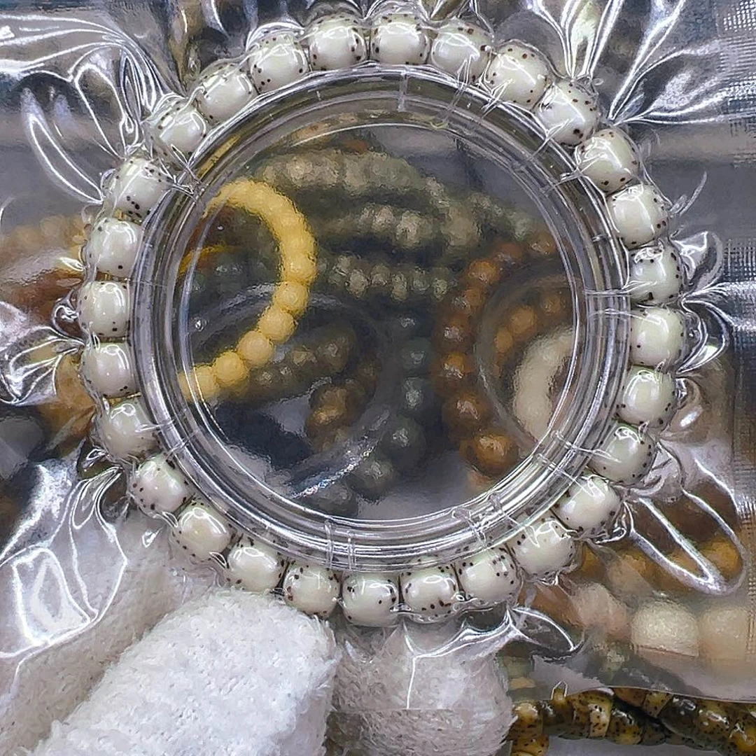 手串星月菩提66动地半臂大留白星月菩提单圈8×7