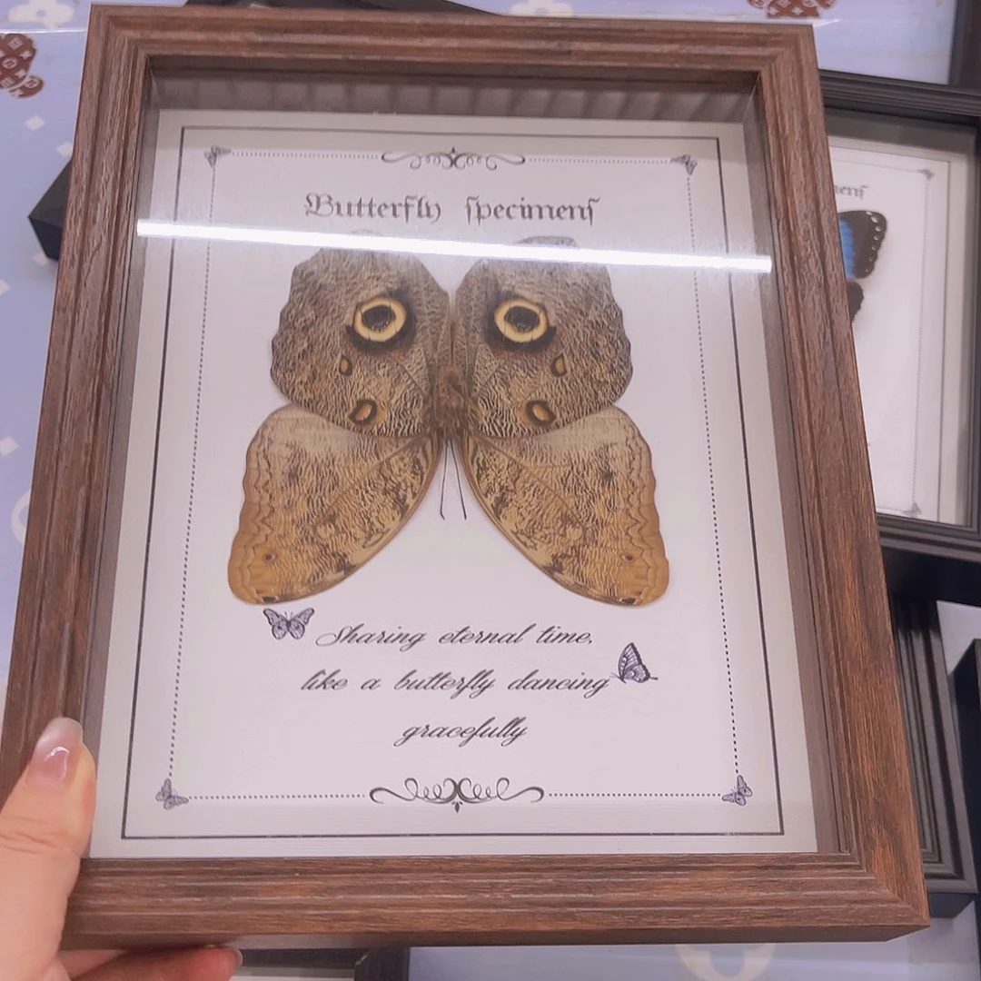 牛***牛猫头鹰带框1号