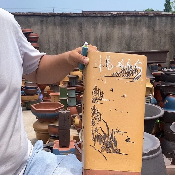 紫砂花盆盆栽植物