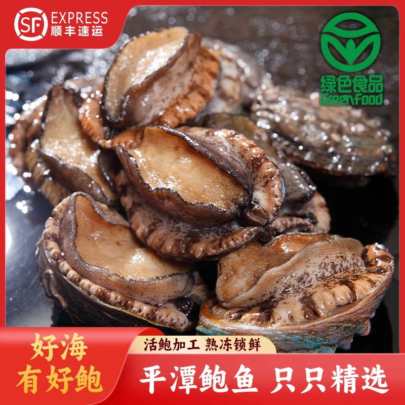 【顺丰包邮】绿色食品认证平潭大号鲍鱼肉 5-6 厘米 鲜活速冻