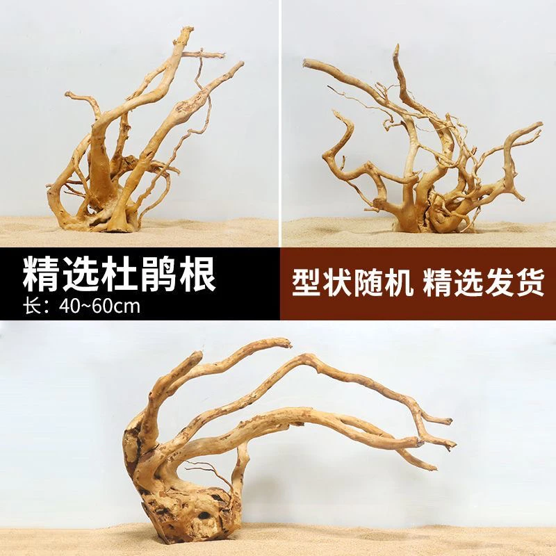 天然杜鹃根沉木鱼缸水草缸雨林缸造景素材精品栖根