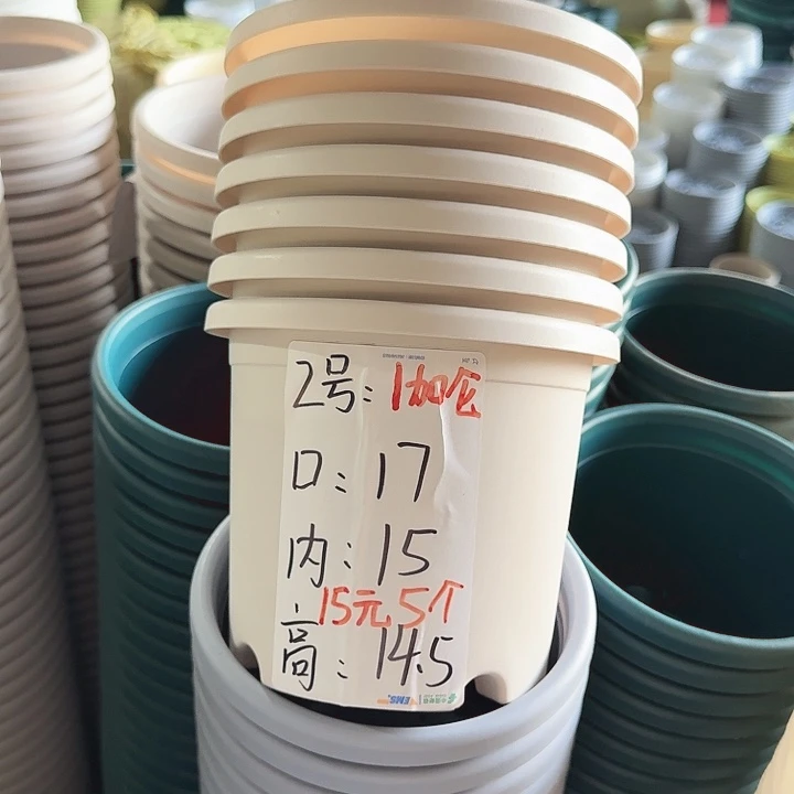 四季2#灰白10个无托