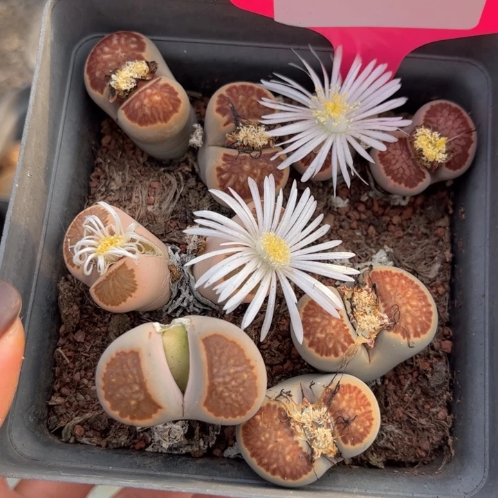 361号888888888888888