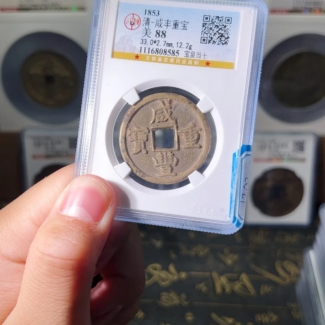 金林*雨雨雨雨雨雨雨雨雨雨雨雨雨