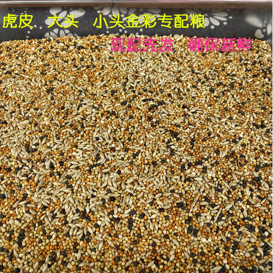 虎皮大头小头鹦鹉谷物混合粮食鹦鹉粮增肥亮羽鹦鹉食粮