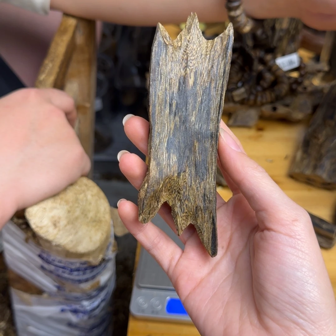 沉香沉香碎屑紫棋品种块料25克