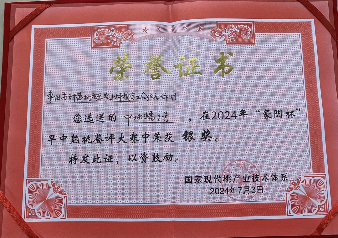 漢黃蜜桃，黄油蟠桃，精品手提袋礼盒，枣阳甜黄桃合作社，枣阳皇桃