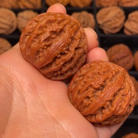 文玩核桃把件秦岭山脉核桃