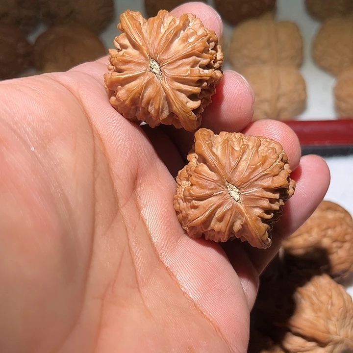 青***羊木38磨盘。