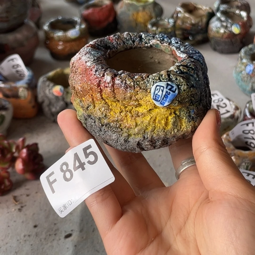 小白孤品  内口4 百搭