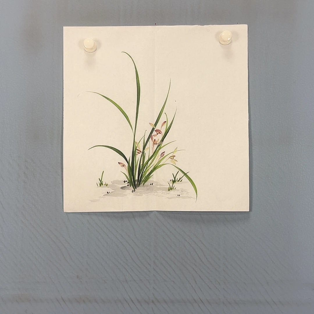 国画713 牡丹一如您