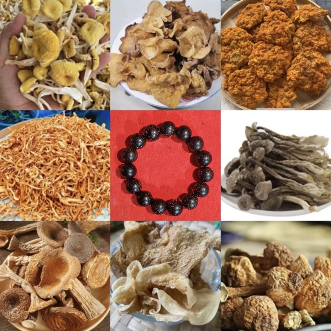 【静静收山货】40号菇 24g起香菇