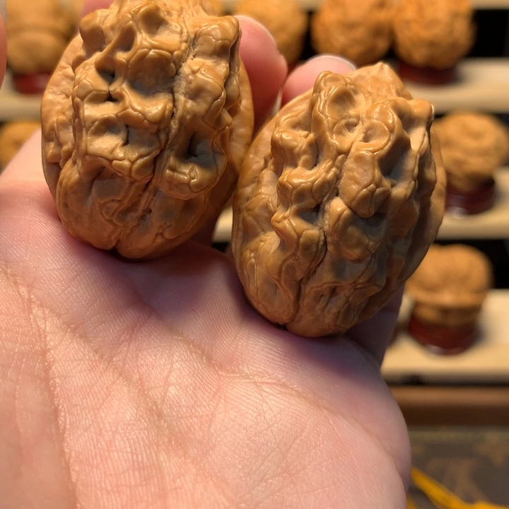 水***任文玩核桃把件毒蝎子