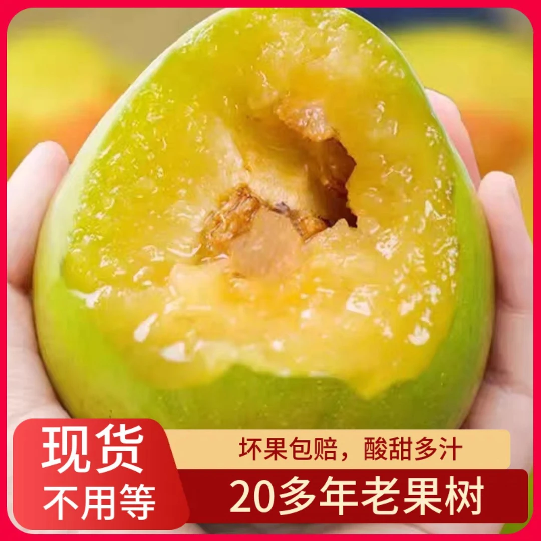 正宗油奈李青奈李青脆李脆孕妇脱骨新鲜空心当季黄金李子水果