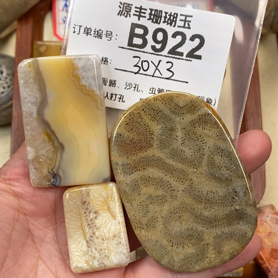 硅化玉颈饰未镶嵌三**5