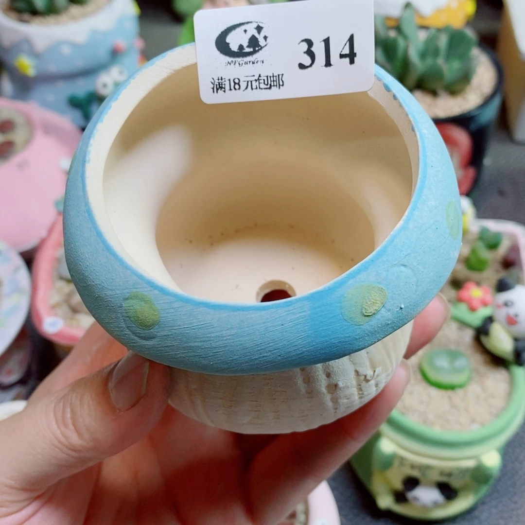 豆***星生石花花花花花花花314