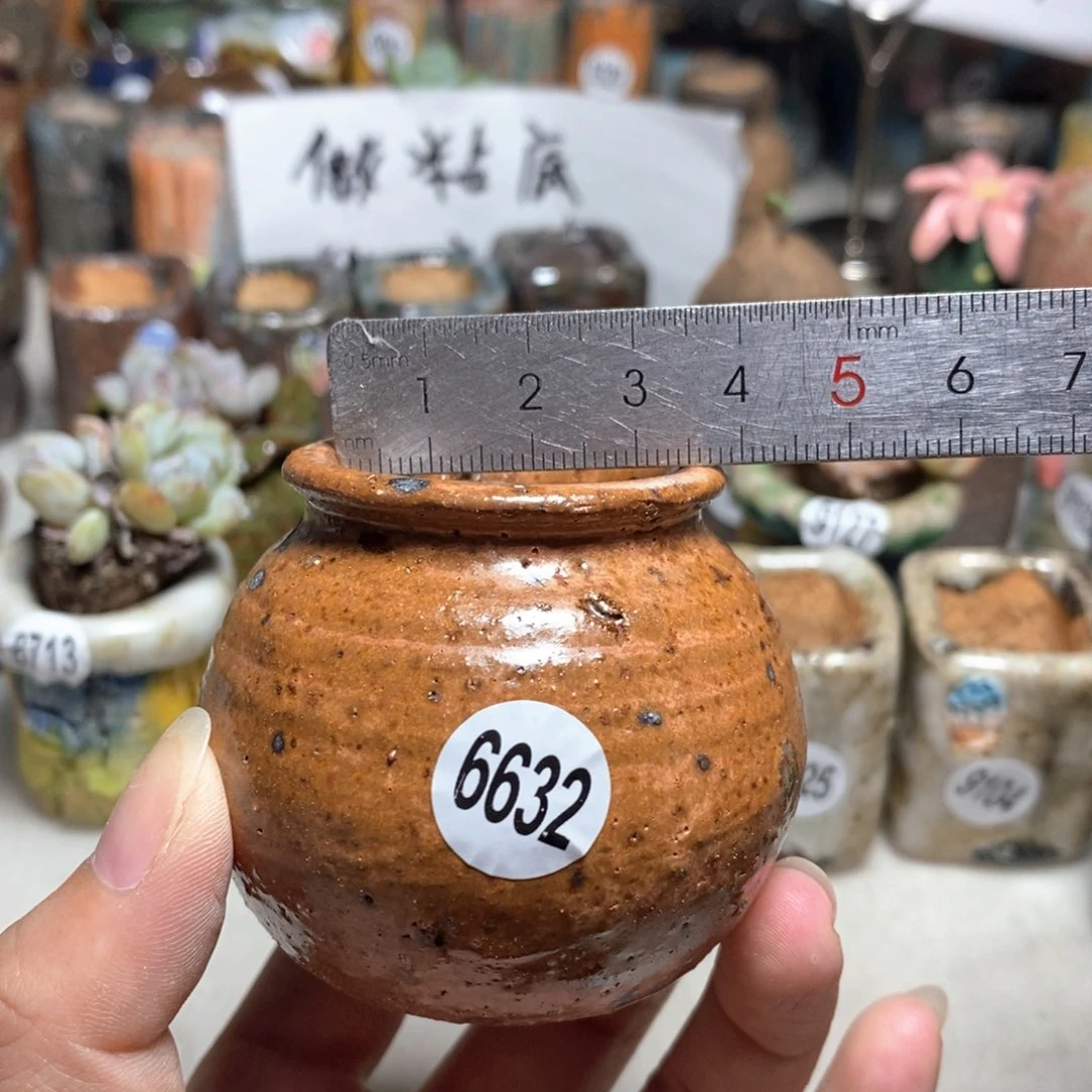 拍5送一个小礼物