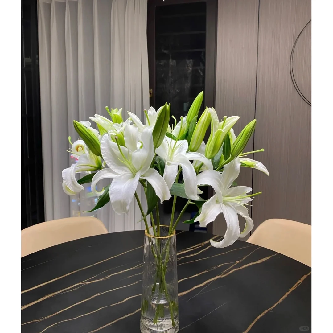 白百合10朵（3-5支生花苞发货）包邮【2单顺丰冷链或京东空运】