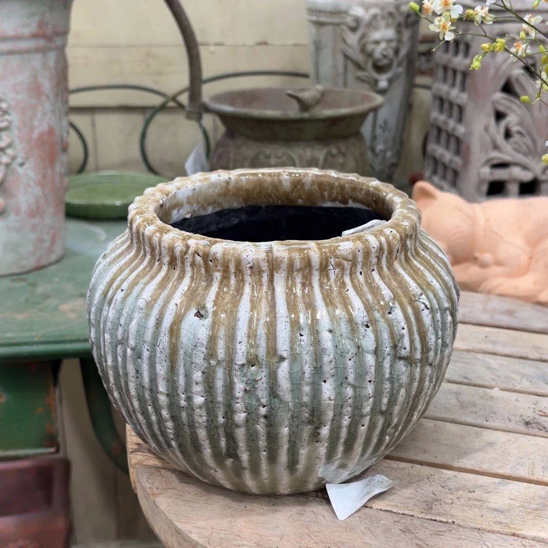 许纯的花房 孤品139