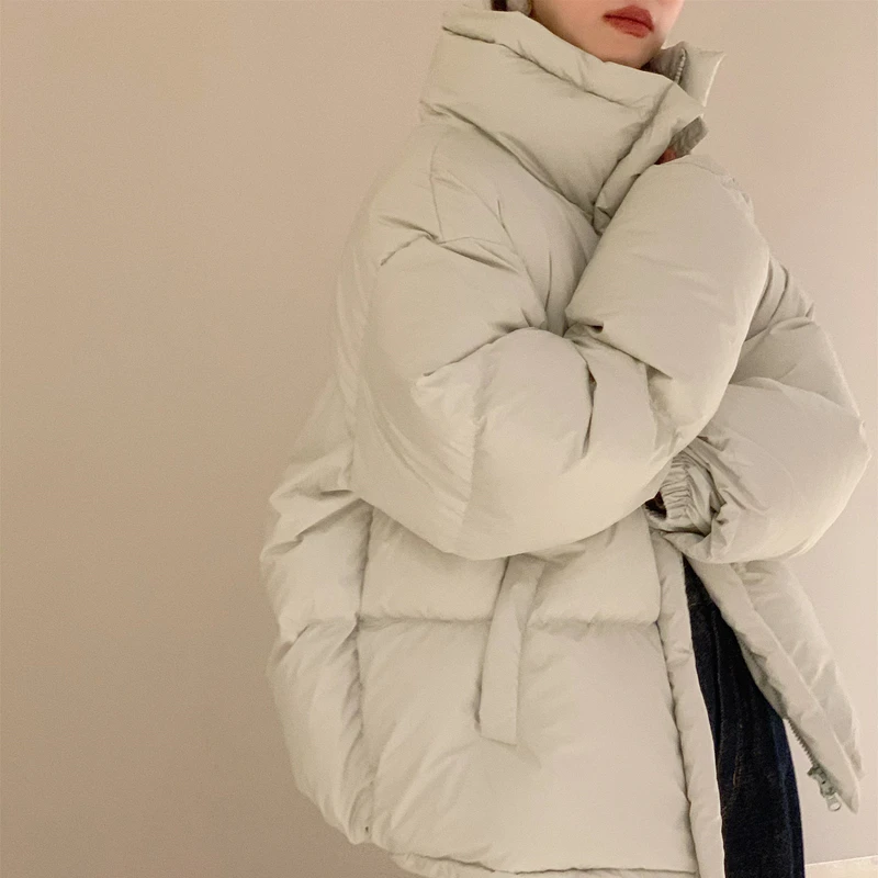 LUO/凛冬 韩风chic包裹感立领鹅绒羽绒服 韩代轻便保暖厚实外套女