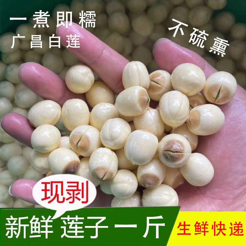 2025年新鲜湿莲子500g当天现摘现发纯手工去皮农家种植手工鲜莲子