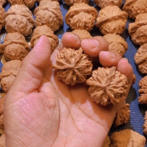 【闪购商品】吊坠文玩核桃海****三棱36