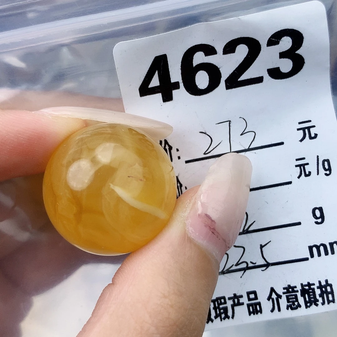 琥珀未镶嵌珠宝奇石23.5植物