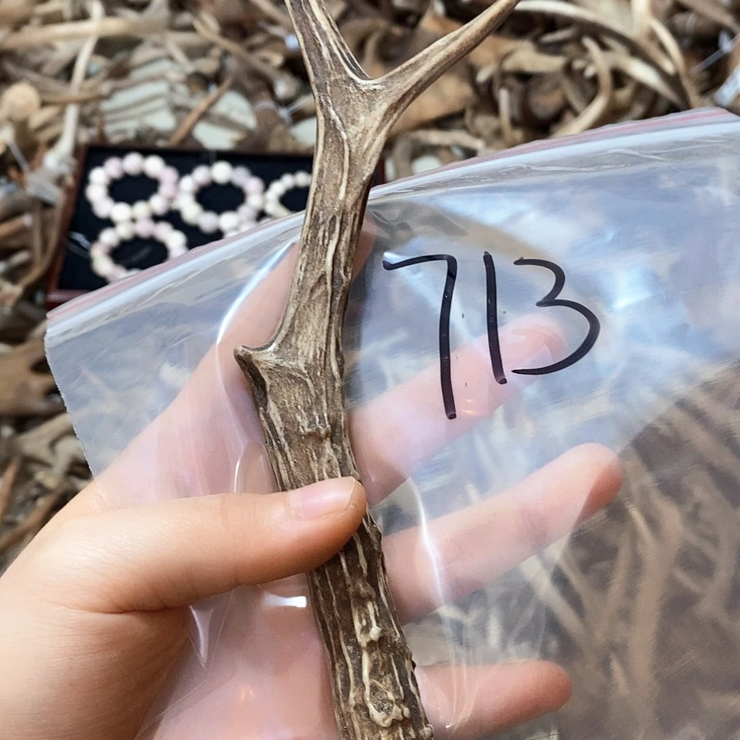 鹿角鹿角鹿角鹿角