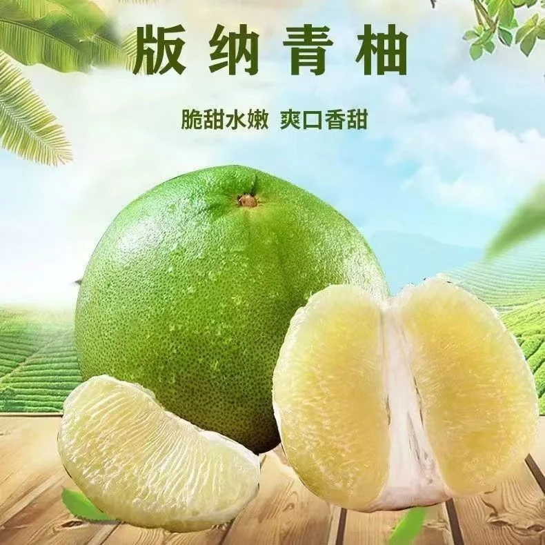 青柚新鲜当季现摘青皮白心蜜柚多汁包邮