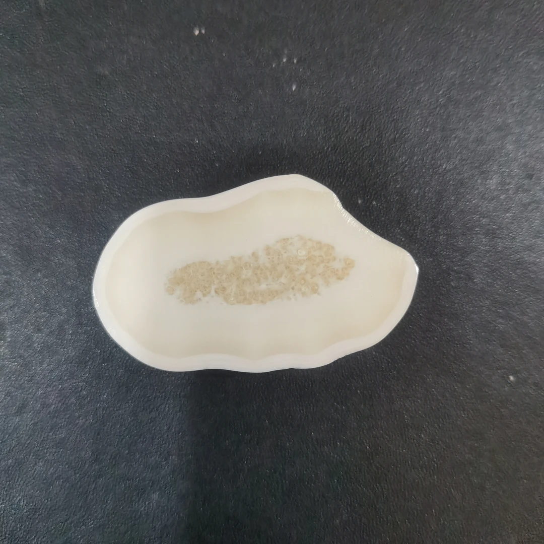 猛犸虬饼子kk719