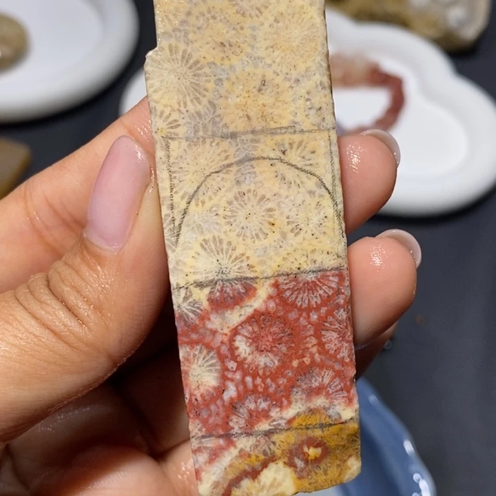 【闪购商品】未镶嵌珊瑚玉硅化玉