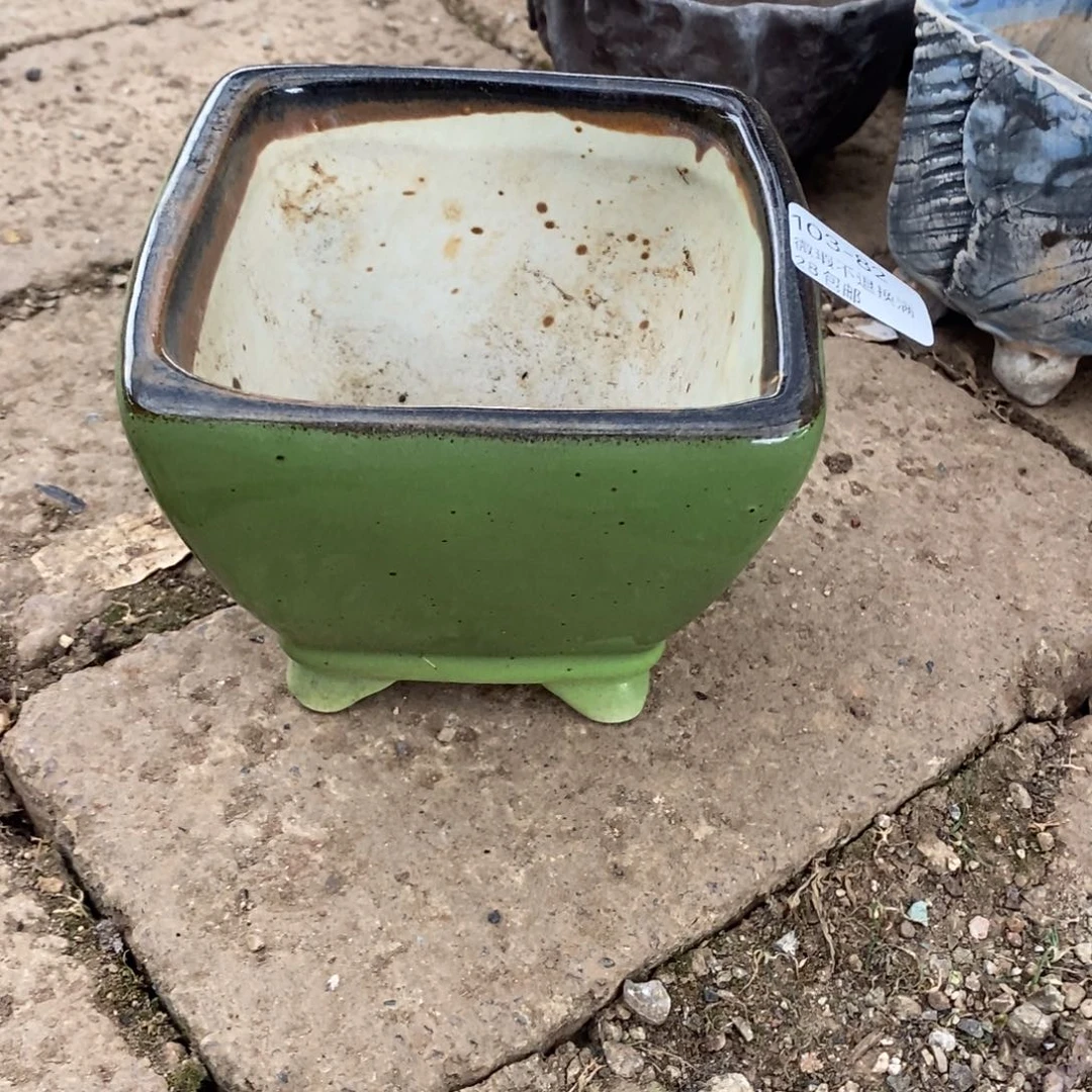 82号多肉盆口径9.5