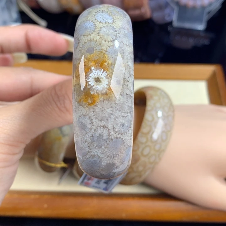 硅化珊瑚（珊瑚玉）未镶嵌吊坠(赠链)19号53圈口