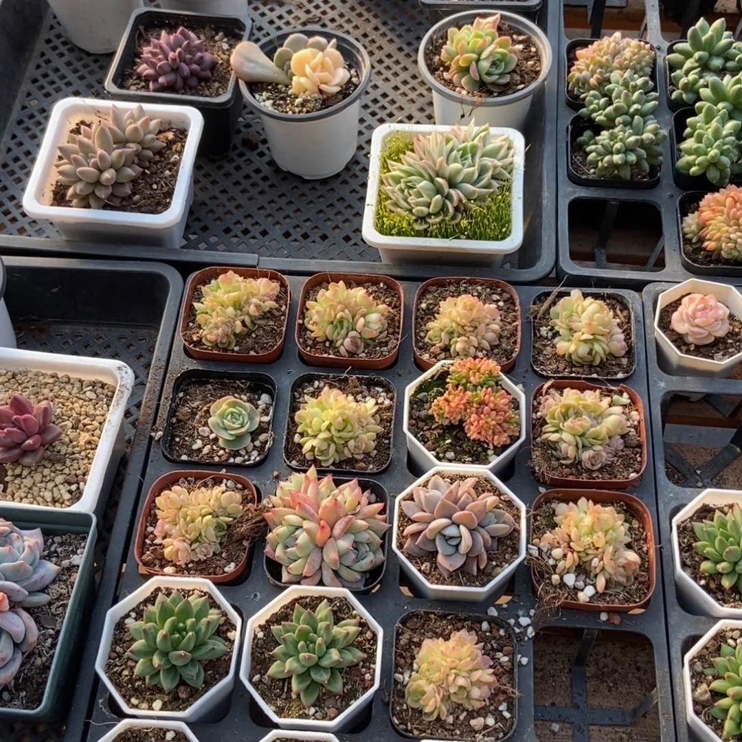 保温箱，低于零度去拍