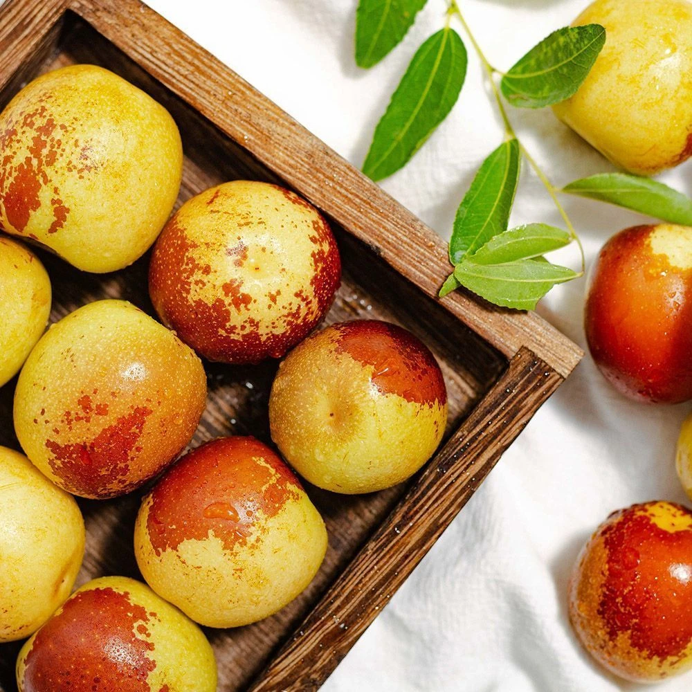 【自然成熟】陕西大荔冬枣脆甜产地直发皮薄肉厚不打激素顺丰包邮