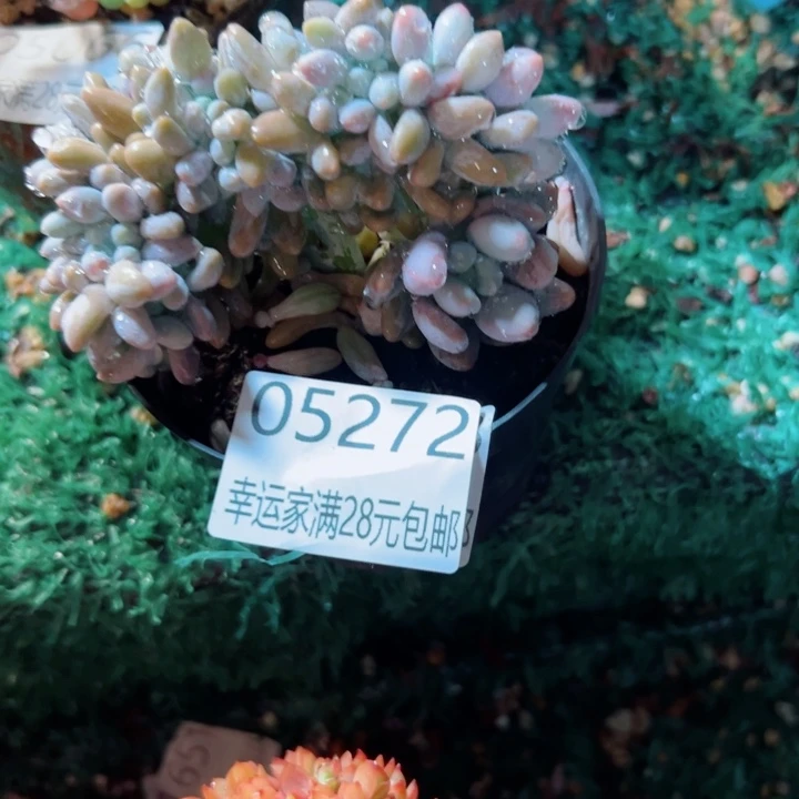 幸运的是我没有遇到过
