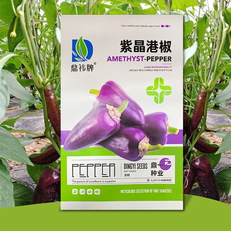 万亩齐丰鼎一牌紫晶港椒