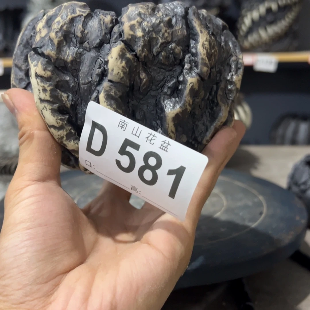 手捏陶瓷植物花盆