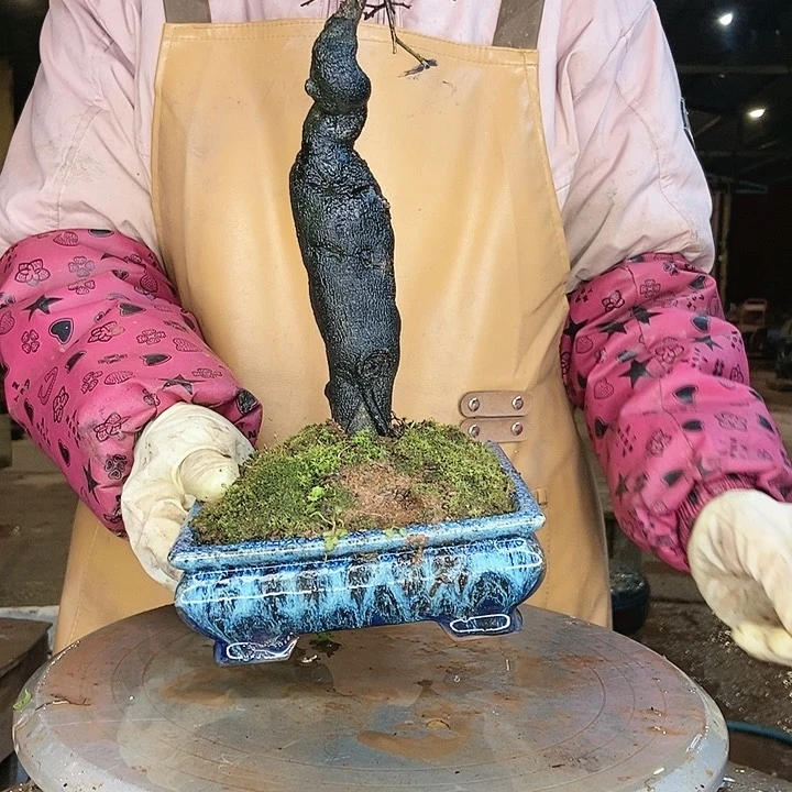 有什么好想说却不知道的