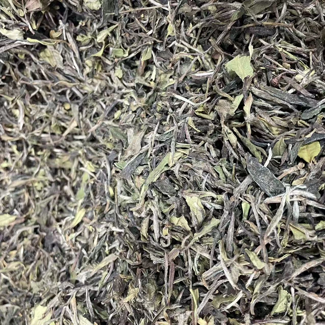 【鑫说】福鼎白茶----2021年群体种贡眉小菜茶