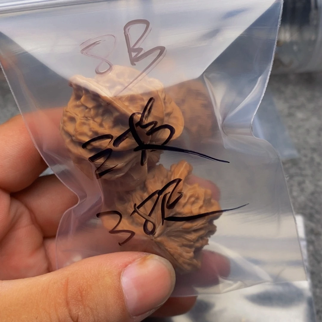封***海吊坠文玩核桃三棱