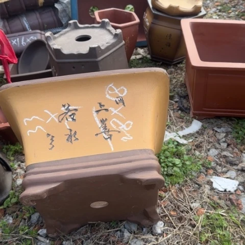 红陶紫砂花盆盆景盆栽