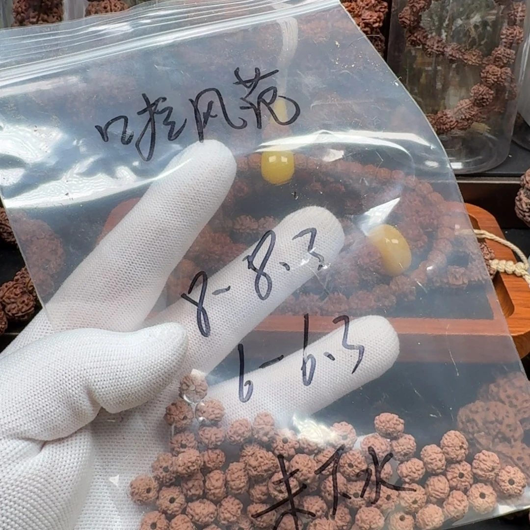 拉***帆手串金刚菩提8树祖