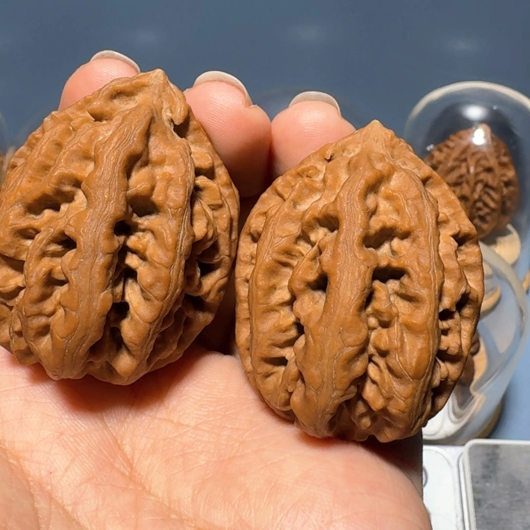 文玩核桃把件沉水红珊瑚