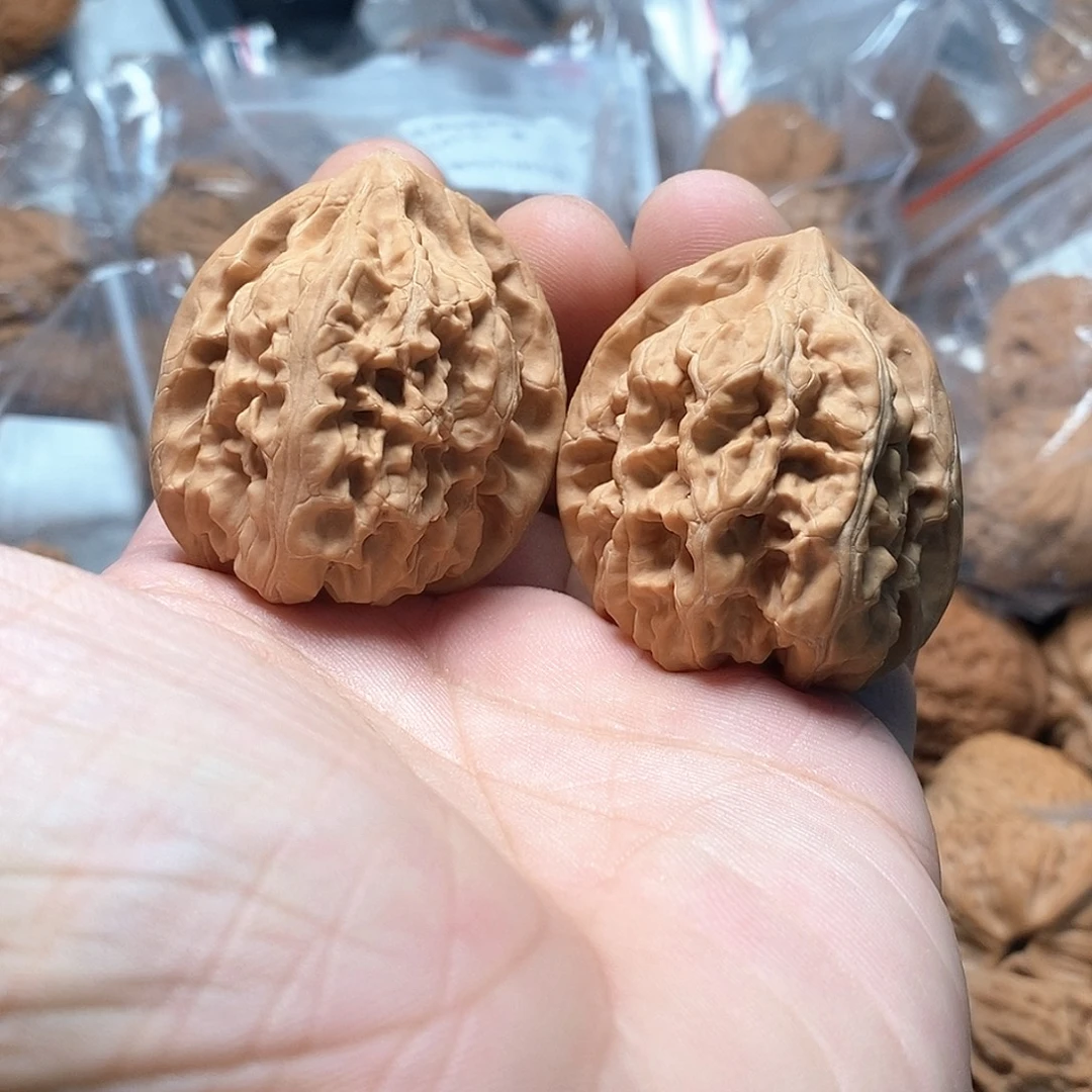 文玩核桃承德粗筋马蹄40-311