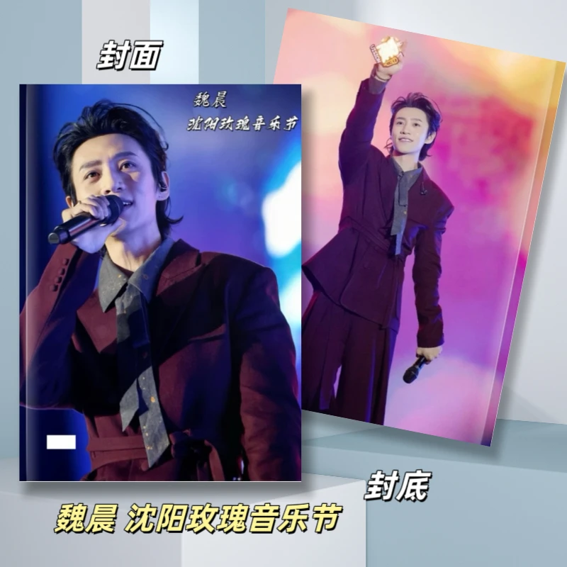 魏晨沈阳玫瑰音乐节