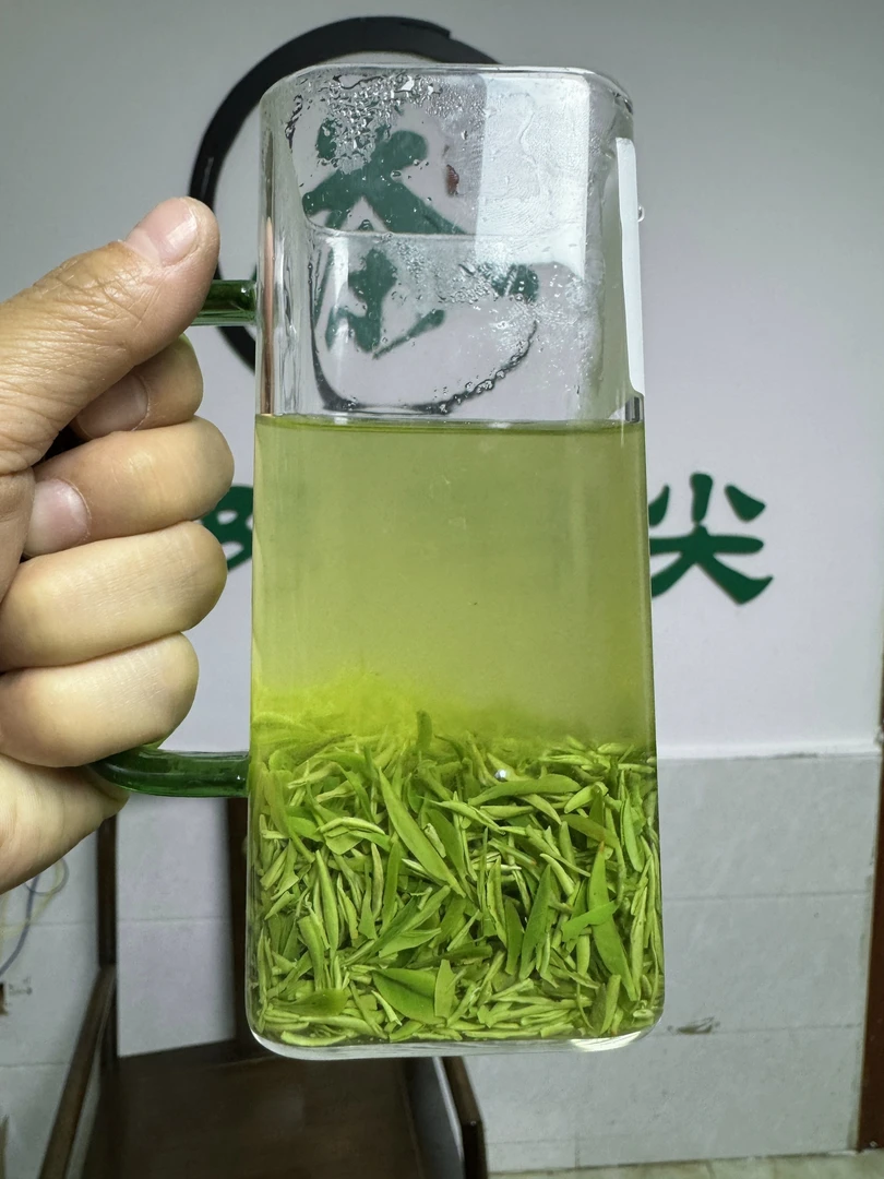 2025年新茶信阳毛尖明前头采风针断芽鲜爽甘甜兰花香