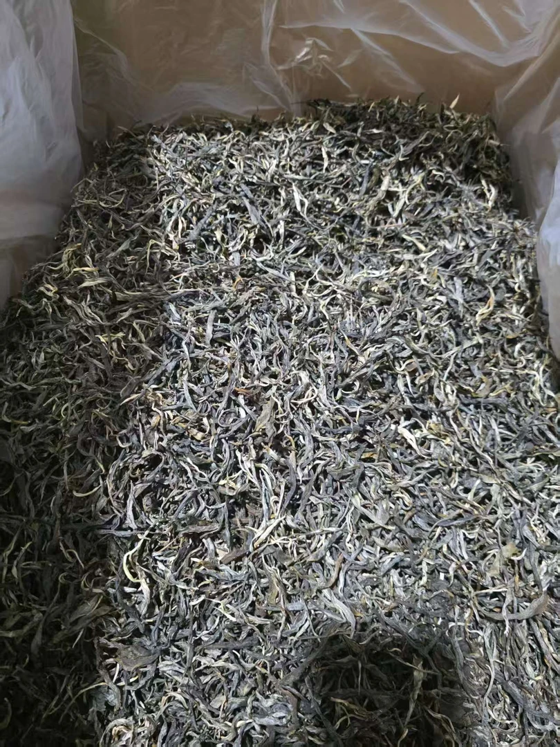 2025年老曼娥明前大树头春普洱茶生茶散茶