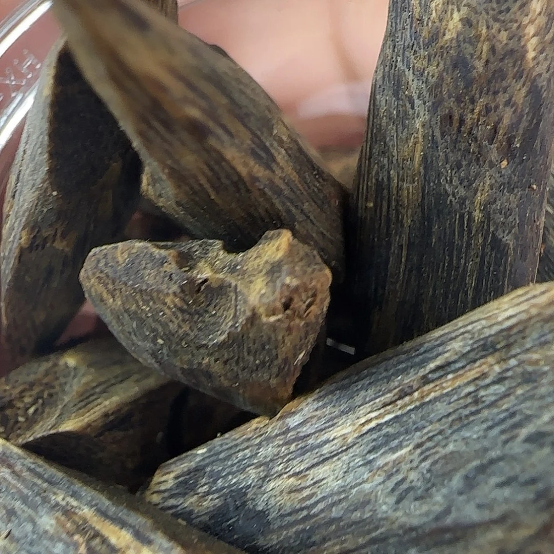 海南白奇块料，味道甜凉味蜜甜，30 克